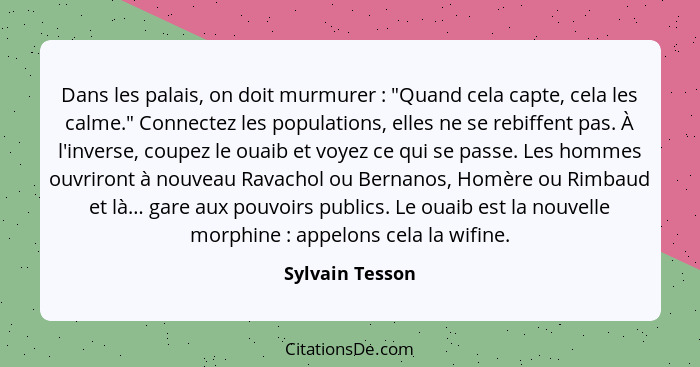 Dans les palais, on doit murmurer : "Quand cela capte, cela les calme." Connectez les populations, elles ne se rebiffent pas. À... - Sylvain Tesson