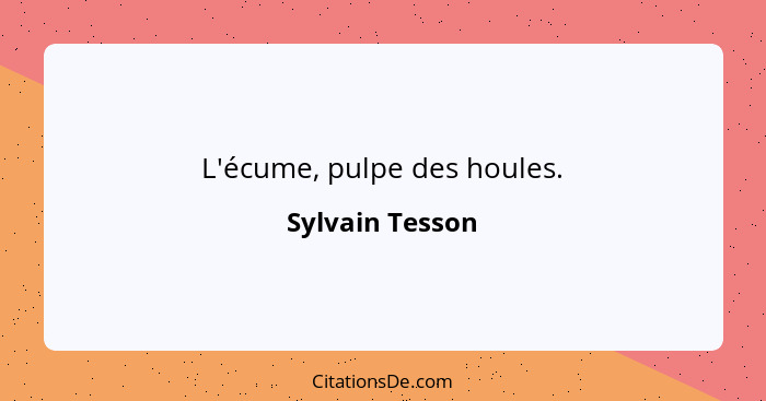 L'écume, pulpe des houles.... - Sylvain Tesson