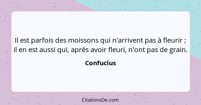 Il est parfois des moissons qui n'arrivent pas à fleurir ; il en est aussi qui, après avoir fleuri, n'ont pas de grain.... - Confucius