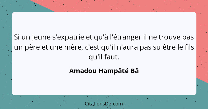 Si un jeune s'expatrie et qu'à l'étranger il ne trouve pas un père et une mère, c'est qu'il n'aura pas su être le fils qu'il faut.... - Amadou Hampâté Bâ