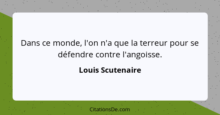 Dans ce monde, l'on n'a que la terreur pour se défendre contre l'angoisse.... - Louis Scutenaire