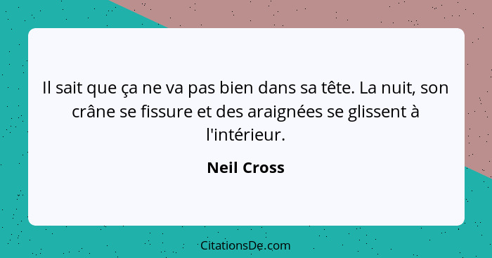 Il sait que ça ne va pas bien dans sa tête. La nuit, son crâne se fissure et des araignées se glissent à l'intérieur.... - Neil Cross