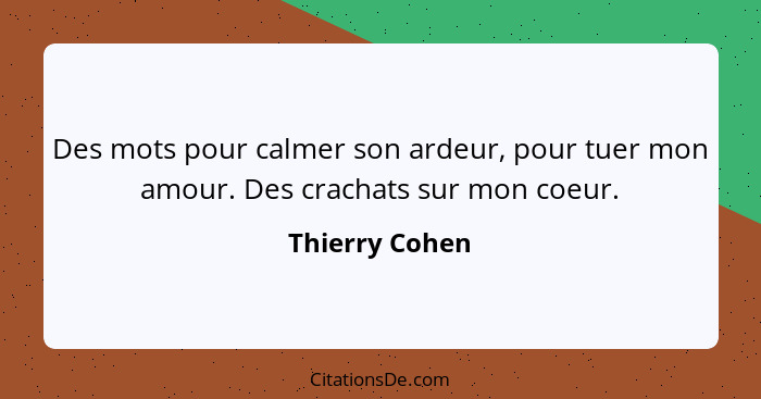 Des mots pour calmer son ardeur, pour tuer mon amour. Des crachats sur mon coeur.... - Thierry Cohen