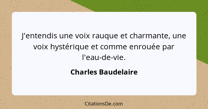 J'entendis une voix rauque et charmante, une voix hystérique et comme enrouée par l'eau-de-vie.... - Charles Baudelaire