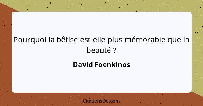 Pourquoi la bêtise est-elle plus mémorable que la beauté ?... - David Foenkinos