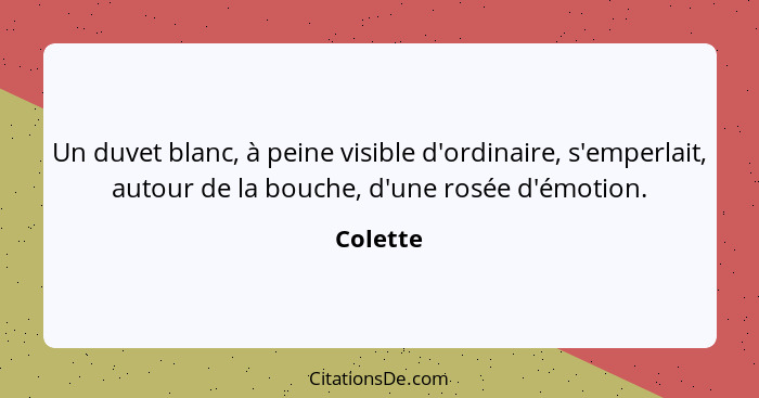 Un duvet blanc, à peine visible d'ordinaire, s'emperlait, autour de la bouche, d'une rosée d'émotion.... - Colette