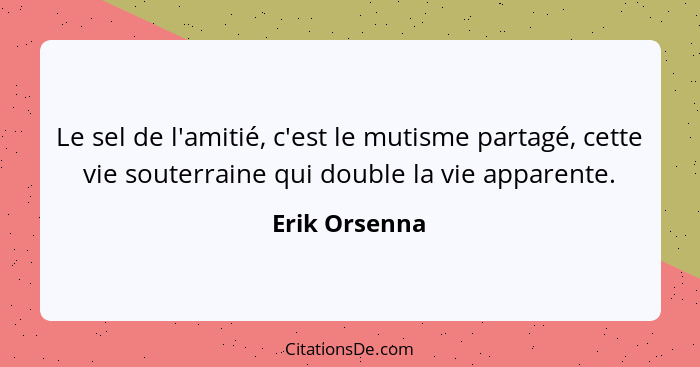Le sel de l'amitié, c'est le mutisme partagé, cette vie souterraine qui double la vie apparente.... - Erik Orsenna