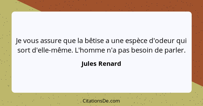 Je vous assure que la bêtise a une espèce d'odeur qui sort d'elle-même. L'homme n'a pas besoin de parler.... - Jules Renard