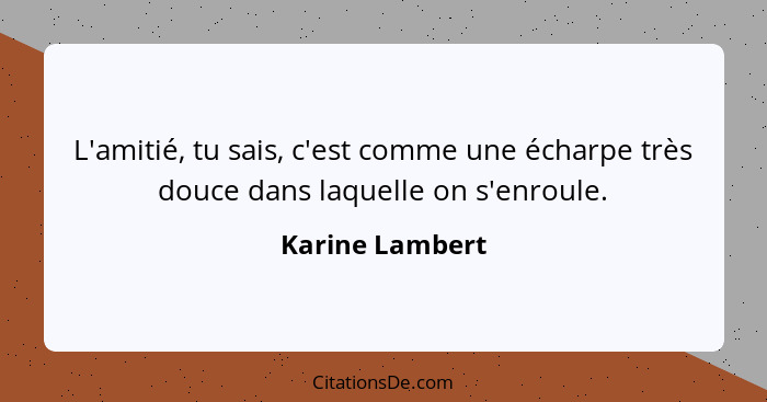 L'amitié, tu sais, c'est comme une écharpe très douce dans laquelle on s'enroule.... - Karine Lambert