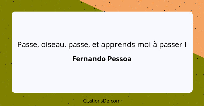 Passe, oiseau, passe, et apprends-moi à passer !... - Fernando Pessoa