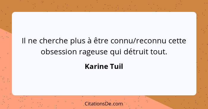 Il ne cherche plus à être connu/reconnu cette obsession rageuse qui détruit tout.... - Karine Tuil