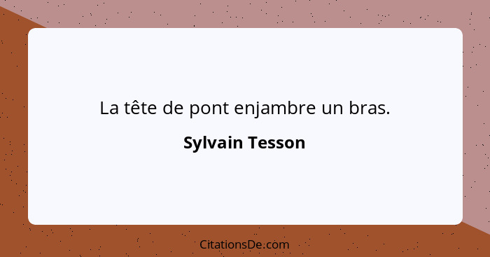 La tête de pont enjambre un bras.... - Sylvain Tesson