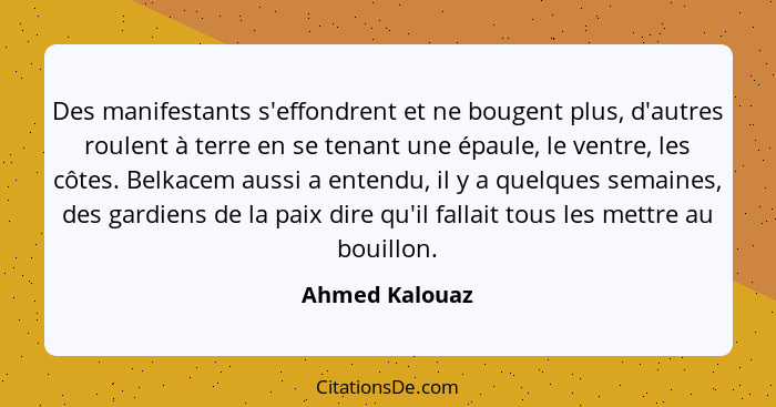 Des manifestants s'effondrent et ne bougent plus, d'autres roulent à terre en se tenant une épaule, le ventre, les côtes. Belkacem aus... - Ahmed Kalouaz