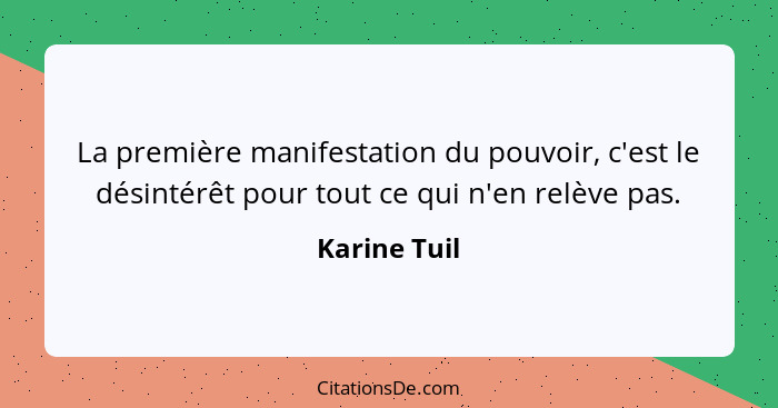 La première manifestation du pouvoir, c'est le désintérêt pour tout ce qui n'en relève pas.... - Karine Tuil