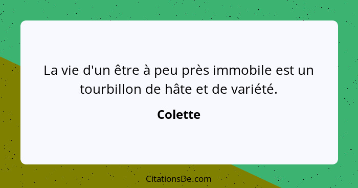 La vie d'un être à peu près immobile est un tourbillon de hâte et de variété.... - Colette