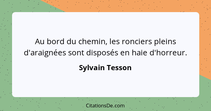 Au bord du chemin, les ronciers pleins d'araignées sont disposés en haie d'horreur.... - Sylvain Tesson