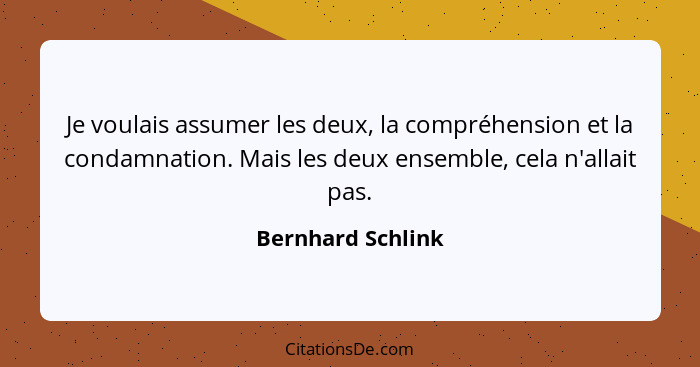 Je voulais assumer les deux, la compréhension et la condamnation. Mais les deux ensemble, cela n'allait pas.... - Bernhard Schlink