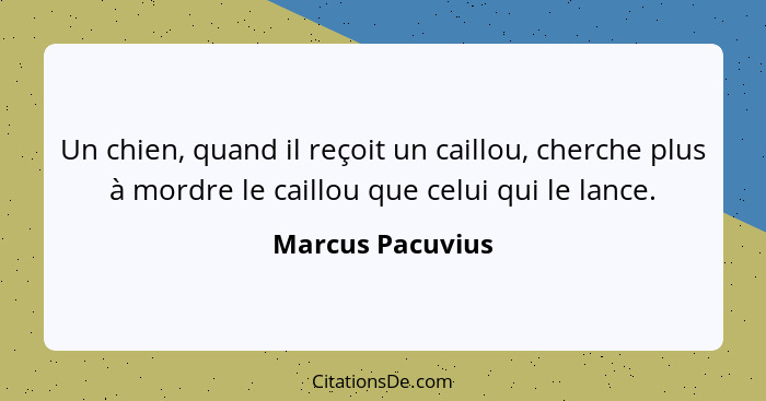 Un chien, quand il reçoit un caillou, cherche plus à mordre le caillou que celui qui le lance.... - Marcus Pacuvius