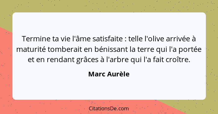 Termine ta vie l'âme satisfaite : telle l'olive arrivée à maturité tomberait en bénissant la terre qui l'a portée et en rendant grâ... - Marc Aurèle