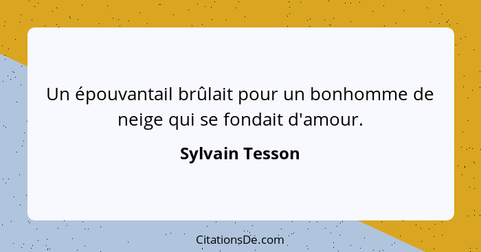 Un épouvantail brûlait pour un bonhomme de neige qui se fondait d'amour.... - Sylvain Tesson