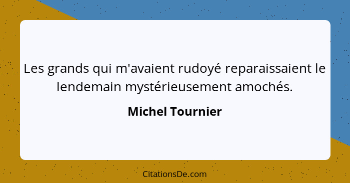 Les grands qui m'avaient rudoyé reparaissaient le lendemain mystérieusement amochés.... - Michel Tournier