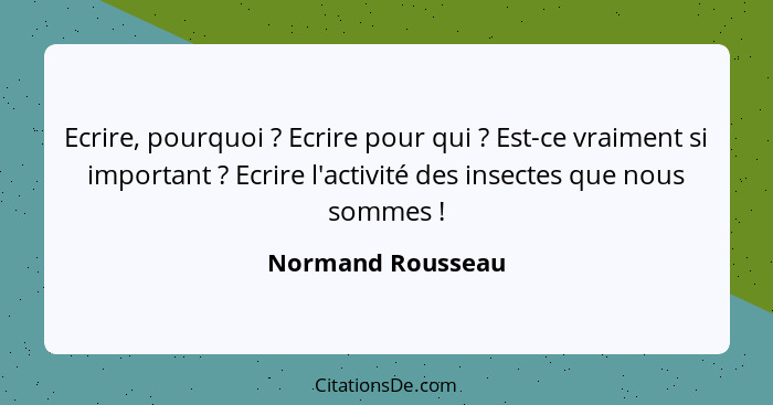 Ecrire, pourquoi ? Ecrire pour qui ? Est-ce vraiment si important ? Ecrire l'activité des insectes que nous sommes&n... - Normand Rousseau
