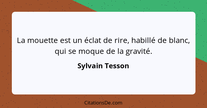 La mouette est un éclat de rire, habillé de blanc, qui se moque de la gravité.... - Sylvain Tesson