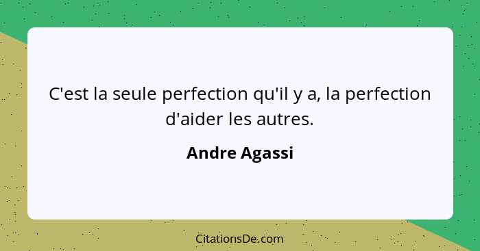 C'est la seule perfection qu'il y a, la perfection d'aider les autres.... - Andre Agassi