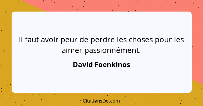 Il faut avoir peur de perdre les choses pour les aimer passionnément.... - David Foenkinos