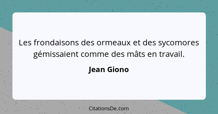 Les frondaisons des ormeaux et des sycomores gémissaient comme des mâts en travail.... - Jean Giono