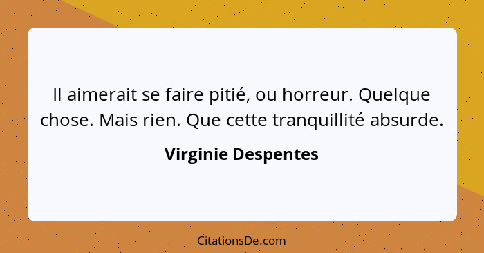 Il aimerait se faire pitié, ou horreur. Quelque chose. Mais rien. Que cette tranquillité absurde.... - Virginie Despentes