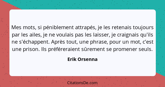 Mes mots, si péniblement attrapés, je les retenais toujours par les ailes, je ne voulais pas les laisser, je craignais qu'ils ne s'écha... - Erik Orsenna