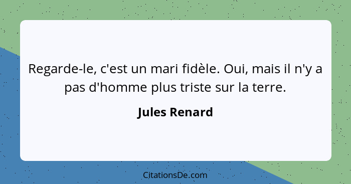 Regarde-le, c'est un mari fidèle. Oui, mais il n'y a pas d'homme plus triste sur la terre.... - Jules Renard