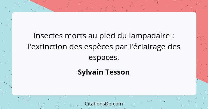 Insectes morts au pied du lampadaire : l'extinction des espèces par l'éclairage des espaces.... - Sylvain Tesson