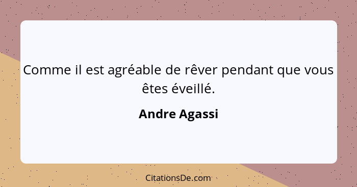 Comme il est agréable de rêver pendant que vous êtes éveillé.... - Andre Agassi