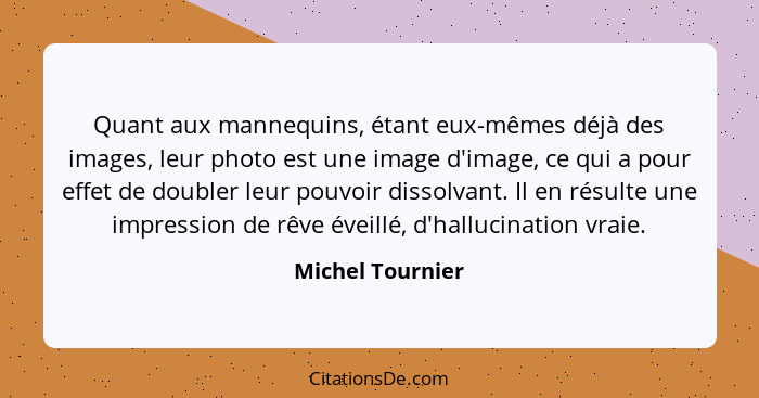 Quant aux mannequins, étant eux-mêmes déjà des images, leur photo est une image d'image, ce qui a pour effet de doubler leur pouvoir... - Michel Tournier