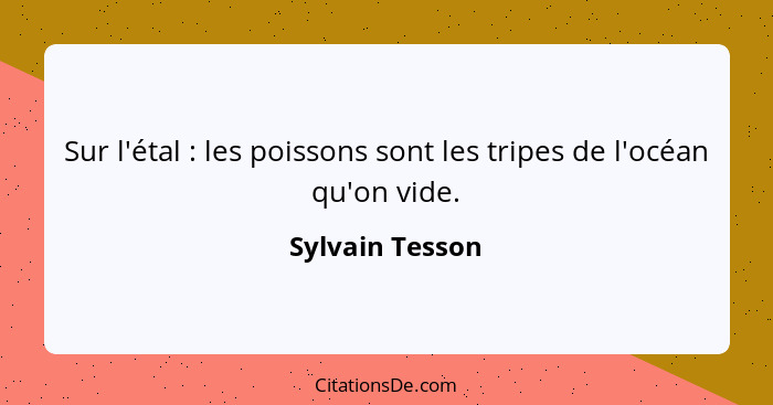 Sur l'étal : les poissons sont les tripes de l'océan qu'on vide.... - Sylvain Tesson