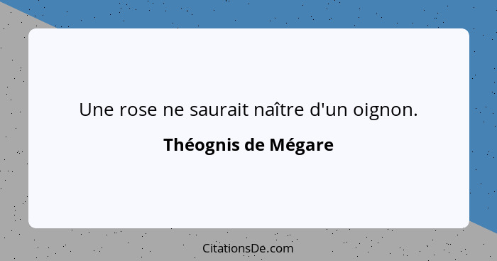 Une rose ne saurait naître d'un oignon.... - Théognis de Mégare