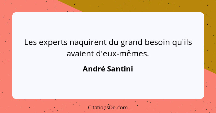 Les experts naquirent du grand besoin qu'ils avaient d'eux-mêmes.... - André Santini