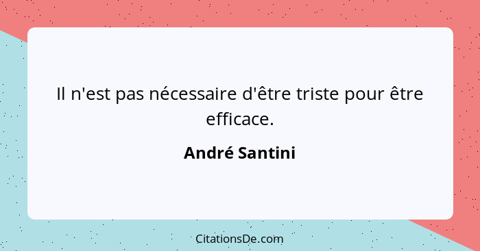 Il n'est pas nécessaire d'être triste pour être efficace.... - André Santini