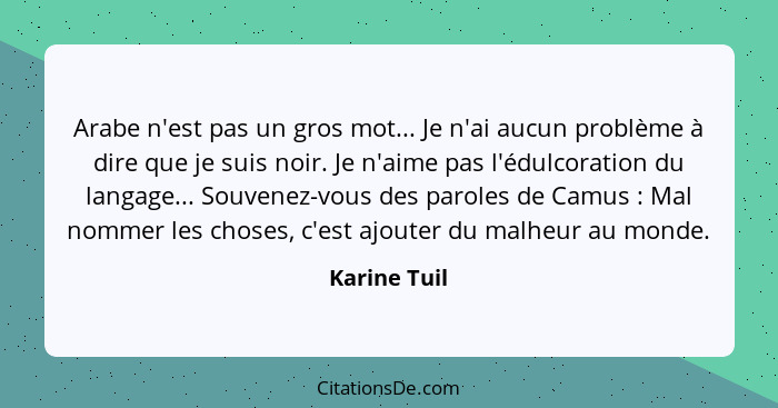 Arabe n'est pas un gros mot... Je n'ai aucun problème à dire que je suis noir. Je n'aime pas l'édulcoration du langage... Souvenez-vous... - Karine Tuil