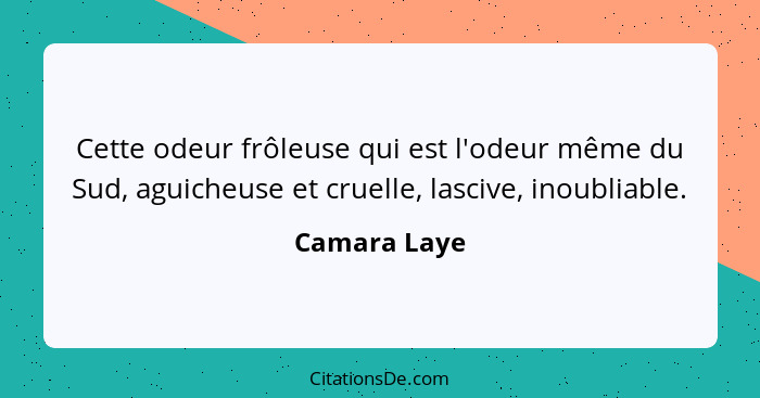 Cette odeur frôleuse qui est l'odeur même du Sud, aguicheuse et cruelle, lascive, inoubliable.... - Camara Laye