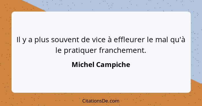 Il y a plus souvent de vice à effleurer le mal qu'à le pratiquer franchement.... - Michel Campiche