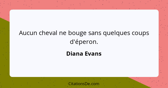 Aucun cheval ne bouge sans quelques coups d'éperon.... - Diana Evans