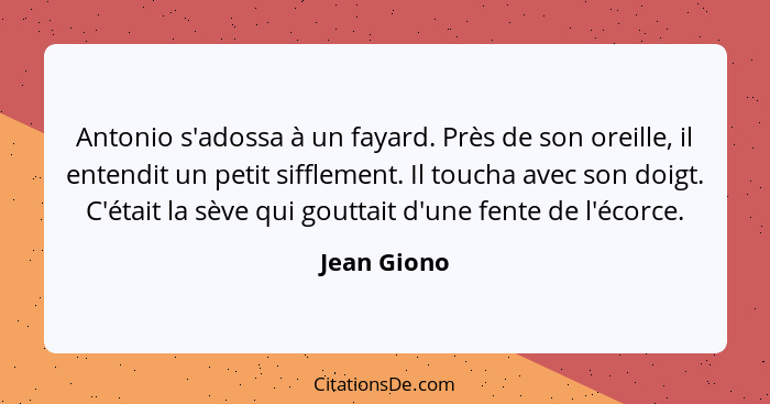 Antonio s'adossa à un fayard. Près de son oreille, il entendit un petit sifflement. Il toucha avec son doigt. C'était la sève qui gouttai... - Jean Giono