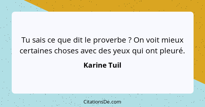 Tu sais ce que dit le proverbe ? On voit mieux certaines choses avec des yeux qui ont pleuré.... - Karine Tuil