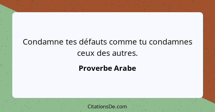 Condamne tes défauts comme tu condamnes ceux des autres.... - Proverbe Arabe