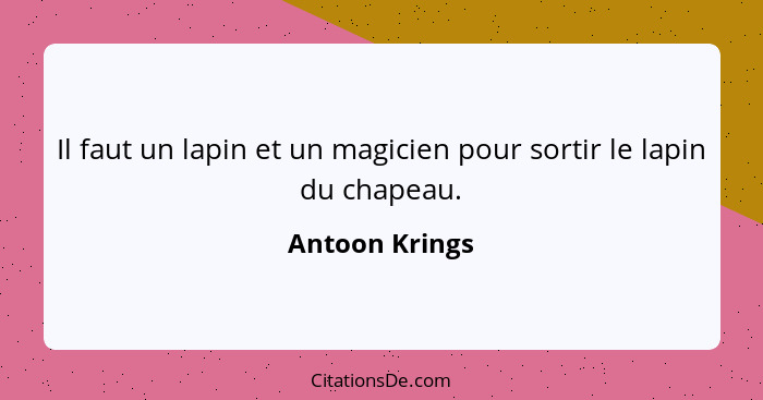 Il faut un lapin et un magicien pour sortir le lapin du chapeau.... - Antoon Krings