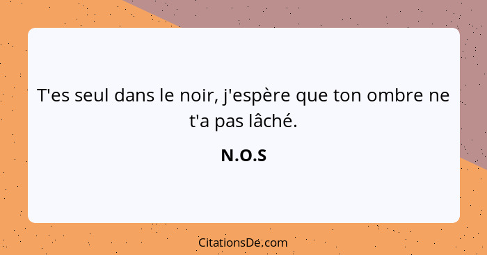 T'es seul dans le noir, j'espère que ton ombre ne t'a pas lâché.... - N.O.S