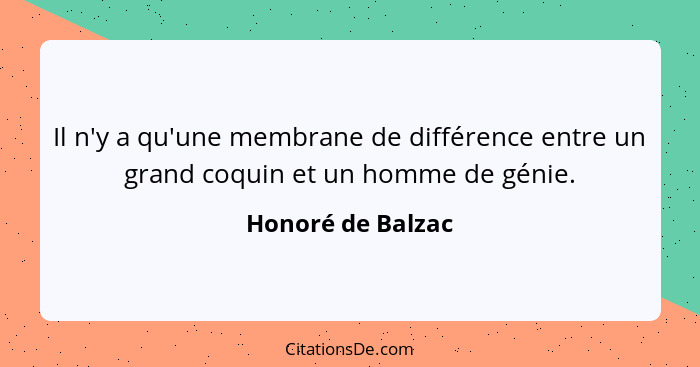 Il n'y a qu'une membrane de différence entre un grand coquin et un homme de génie.... - Honoré de Balzac
